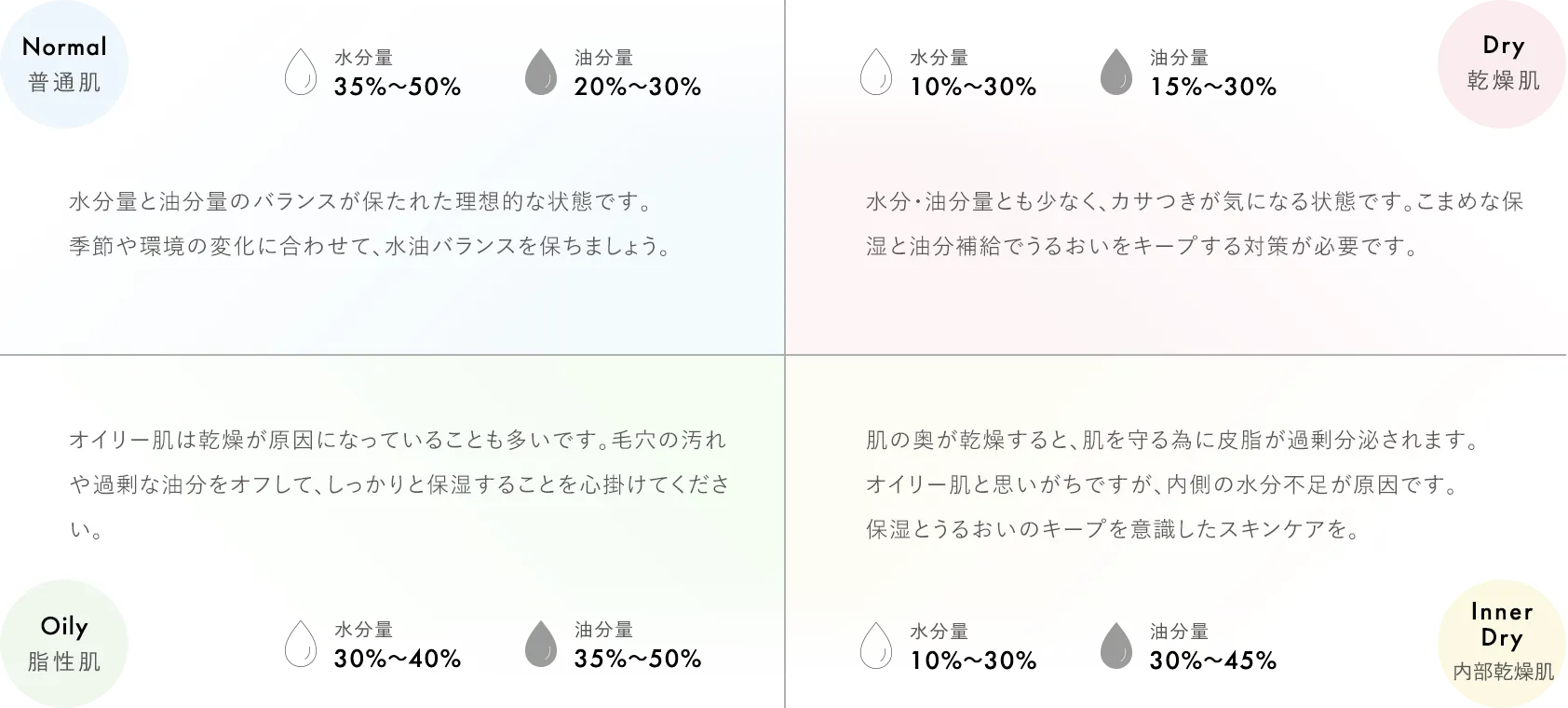 4つの肌質：普通肌・乾燥肌・内部乾燥肌・脂性肌