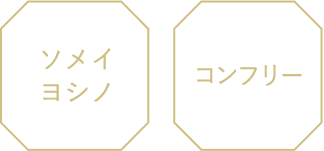 KEY ESSENCE
